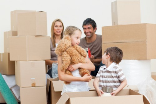 Moving checklist and labeled boxes prepared for a house removal