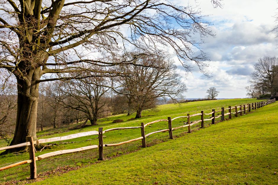 A rural scene showing a grassy field bordered by a wooden fence with uneven, naturalistic horizontal rails supported by vertical posts. Several leafless trees are scattered across the landscape, with some standing near the fence and others further back. The sky overhead is partly cloudy with patches of blue visible through the clouds. The lighting suggests daytime, with even light illuminating the scene. The area appears quiet and open, typical of countryside settings where home relocations and packing may involve moving large outdoor furniture or equipment. Man With a Van Hampton Hill, specialists in removals, may utilize such surroundings for vehicle parking or loading during home relocation services, ensuring careful handling of furniture and boxes in natural environments.