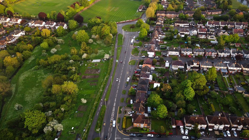 An aerial view of a residential neighbourhood showing a tree-lined street with parked cars and houses on the right side, and a large green park or garden area on the left side featuring various trees, flower beds, and open grassy spaces. The street in the centre has a few moving vehicles, and the scene is captured during daytime with natural lighting. This image illustrates the typical environment for house removals and home relocation activities, highlighting the potential logistics involved in furniture transport and packing within a suburban setting, as managed by companies like Man With a Van Hampton Hill.